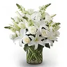 Garhoud flowers  -  Serenity Bunch Flower Bouquet/Arrangement