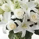 Garhoud flowers  -  Serenity Bunch Flower Bouquet/Arrangement