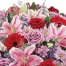 Madinat zayed flowers  -  Shower of Affection Flower Bouquet/Arrangement