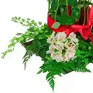 San Jose Santiago flowers  -  Red Roses Romanticism Flower Bouquet/Arrangement