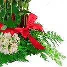 San Jose Santiago flowers  -  Red Roses Romanticism Flower Bouquet/Arrangement