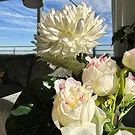 Halta blomster- Hvit bukett Blomsterarrangementer bukett