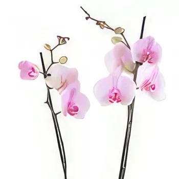 flores Dusseldorf floristeria -  Rubor suave Ramo de flores/arreglo floral