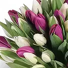 fleuriste fleurs de Hauteurs de Barsha- Amour doux Bouquet/Arrangement floral