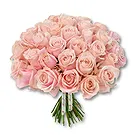Garhoud flowers  -  Soft Pink Rose Arrangement Flower Bouquet/Arrangement