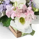flores de Brasília- Arranjo de Flores de Campo em Tons Suaves Bouquet/arranjo de flor