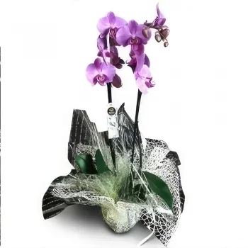 Cascais Blumen Florist- Spirituelle Reinheit Bouquet/Blumenschmuck