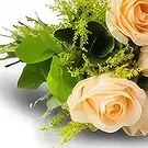 Amsterdam flowers  -  Be Charmed Flower Bouquet/Arrangement