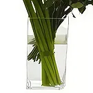 ดอกไม้  - Calla & Roses ช่อดอกไม้/การจัดวางดอกไม้