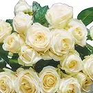 Dänemark Blumen Florist- Zeitloses Weiß Bouquet/Blumenschmuck
