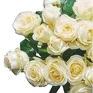 Dänemark Blumen Florist- Zeitloses Weiß Bouquet/Blumenschmuck