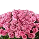 Sofia flowers  -  Pinkish Glee Flower Bouquet/Arrangement