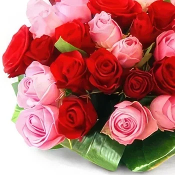 Krakau bloemen bloemist- Roze rozen Boeket/bloemstuk