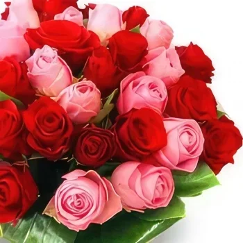 Krakau bloemen bloemist- Roze rozen Boeket/bloemstuk