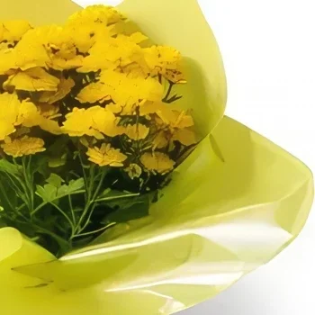 fleuriste fleurs de Fortaleza- Vase cadeau de Marguerites Bouquet/Arrangement floral