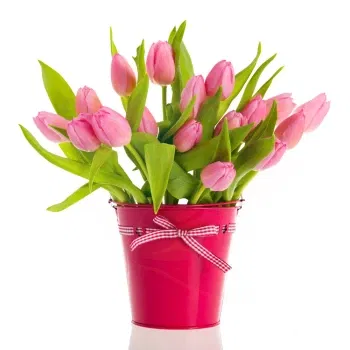 بائع زهور ميلان- باقة من زهور التوليب الوردية في مزهرية
