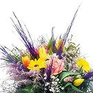 Smederevska Palanka flowers  -  Blossoming Love Flower Bouquet/Arrangement