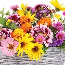 fiorista fiori di Firenze- Cesto di fiori di campo colorati Bouquet floreale