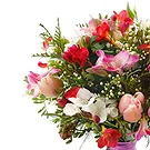 Italy flowers  -  Bouquet of colorful wildflowers Flower Bouquet/Arrangement