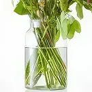 Aalborg blomster- Tørr bukett Blomsterarrangementer bukett