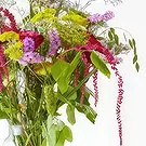 Aalborg blomster- Tørr bukett Blomsterarrangementer bukett