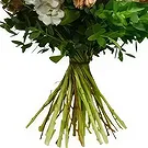Taunton flowers  -  Green Garden Glory Flower Bouquet/Arrangement