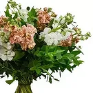 Taunton flowers  -  Green Garden Glory Flower Bouquet/Arrangement