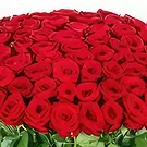 flores Chotrana floristeria -  Directamente del corazón Ramo de flores/arreglo floral