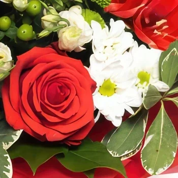Lille blomster- Rød og hvit blomsterhandlers overraskelsesbuk Blomsterarrangementer bukett