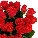 Abulkassem Ech Chebbi flowers  -  Extremely Magnificent Flower Bouquet/Arrangement