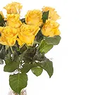 Italy flowers  -  Bouquet of 9 Yellow Roses Flower Bouquet/Arrangement