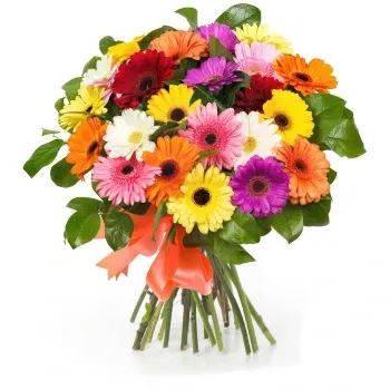 بائع زهور صقلية- باقة جربيرا ملونة