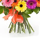 Italy flowers  -  Bouquet of Colored Gerberas Flower Bouquet/Arrangement