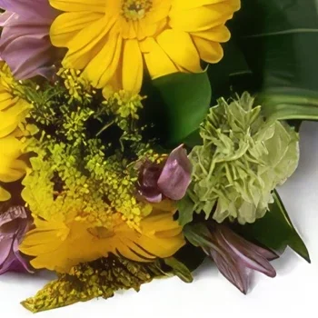 flores de Rio de Janeiro- Buquê de Astromelia e Gerberas Bouquet/arranjo de flor