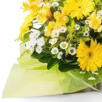 サンパウロ 花- 白と黄色ガーベラとひなぎくのアレンジメント 花束/フラワーアレンジメント