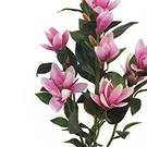 Vignone flowers  -  Magnolia Plant Flower Bouquet/Arrangement