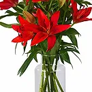 Amsterdam-Zuidoost flowers  -  New Day Flower Bouquet/Arrangement