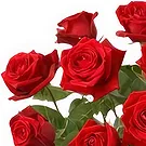 Greece flowers  -  TRADITIONAL Flower Bouquet/Arrangement