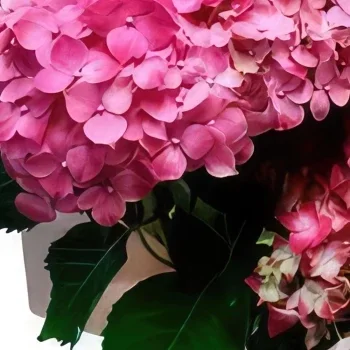 flores Madrid floristeria -  Dulce y rosa Ramo de flores/arreglo floral