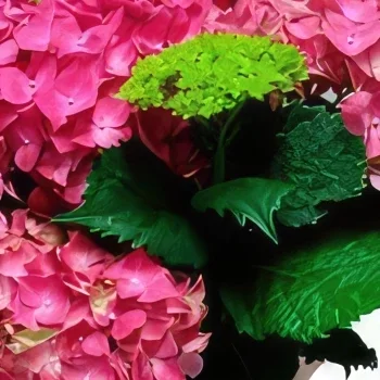 מדריד פרחים- מתוק וורוד זר פרחים/סידור פרחים