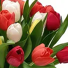 Benalmadena flowers  -  Bold Style Flower Bouquet/Arrangement