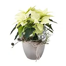 Italy flowers  -  White Christmas Star with Decorations Flower Bouquet/Arrangement