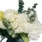 Ouled Maaref flowers  -  Cloud of Emeralds Flower Bouquet/Arrangement