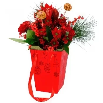 بائع زهور مدريد- الأحمر الأصلي باقة الزهور