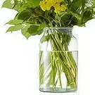 Store Valby flowers  -   Bouquet Radiant Flower Bouquet/Arrangement