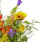 Store Valby flowers  -   Bouquet Radiant Flower Bouquet/Arrangement