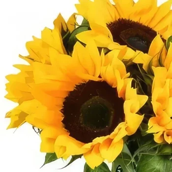 Liverpool blomster- Solrige smil Blomst buket/Arrangement