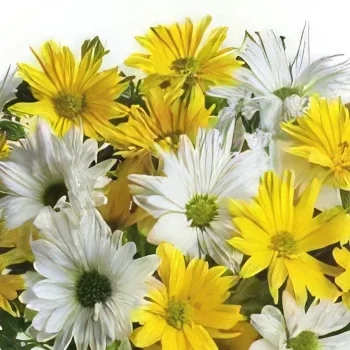 Kizilcahamam λουλούδια- Οι ακτίνες του ήλιου Μπουκέτο/ρύθμιση λουλουδιών