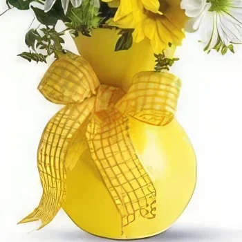 Генуа цветя- Слънчеви лъчи Букет/договореност цвете