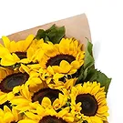 Florence kvety- Balená kytica slnečnice Aranžovanie kytice